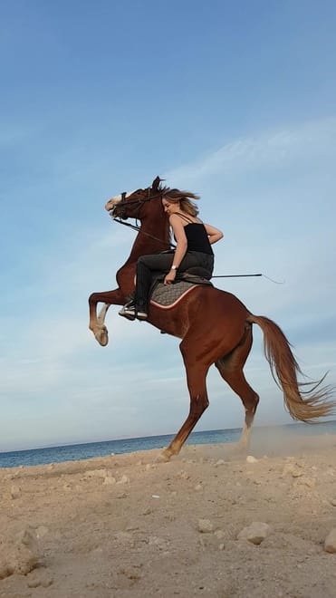 Premium 1 Hour Elite Desert Horseback Riding Adventure - Hurghada