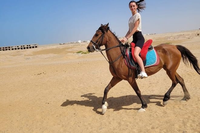 One Hour Horseback Riding Trip with Transfer - Sharm El Sheikh