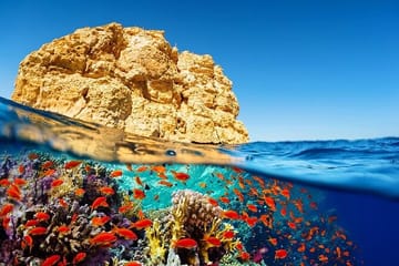 Snorkeling Day Trip to Abu Dabbab Beach in Marsa Alam