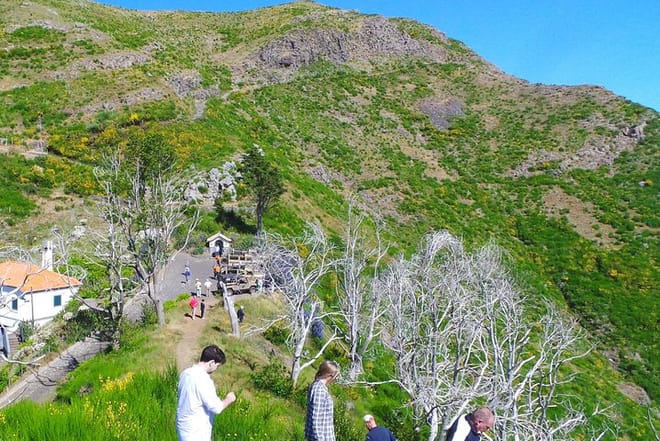 Amazing Skywalk, Cliff & Valleys in Open Roof 4x4 Tour + Dolphins Watching 7