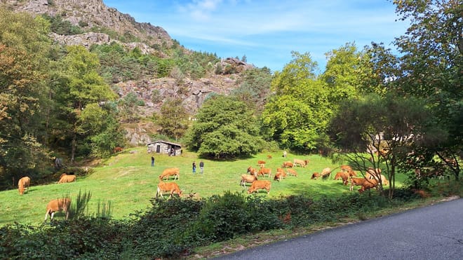 Private Gerês Tour from Porto: Waterfalls, Viewpoints and Thermal Villages