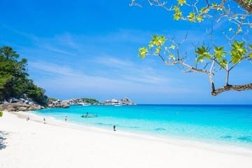 Premium Similan Island Day Trip with lunch and transfer pick up