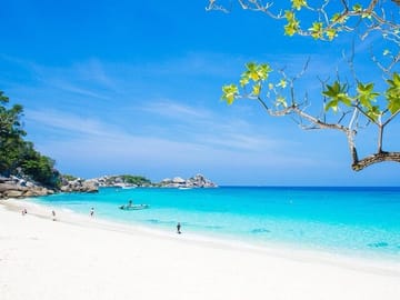 Premium Similan Island Day Trip with Lunch from Chalong