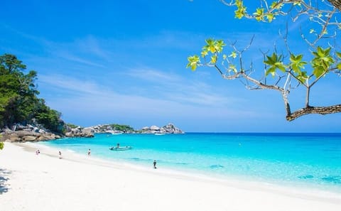 Premium Similan Island Day Trip with Lunch from Chalong