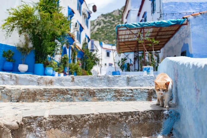 Breathe in mountain air as you stroll past blue-painted doors and quiet plazas.