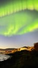 Aurora Quest Minibus Adventure 4