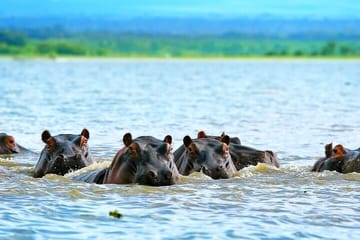 Day tour to hell’s gate National Park and Lake Naivasha Boat Ride