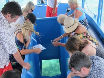 Glass Bottom Boat Tour in Punta Cana, Dominican Republic