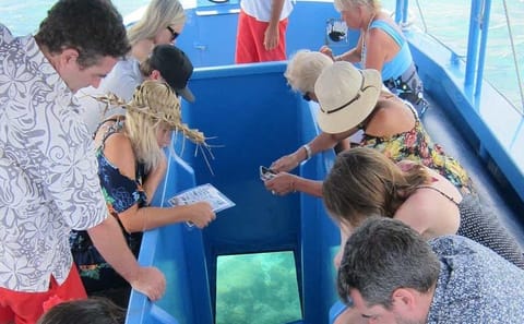 Glass Bottom Boat Tour in Punta Cana, Dominican Republic