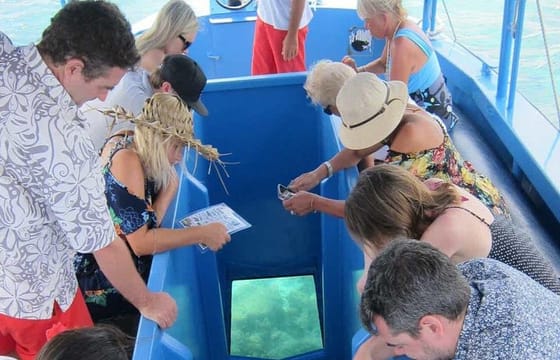 Glass Bottom Boat in Punta Cana