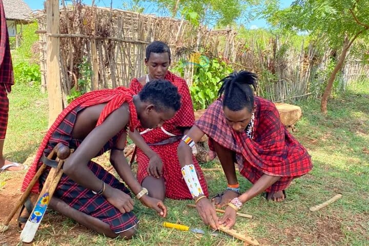 Zanzibar Swim with Dolphins and Turtles Visit at the Aquarium