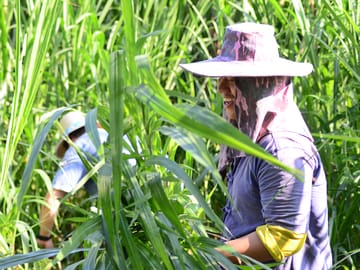 Elephant Sanctuary+Bamboo Rafting+Long Neck Village