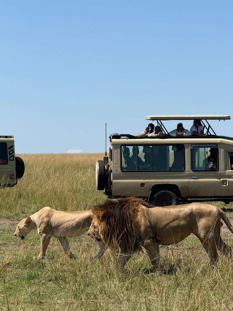 2 Days Masai Mara Private Safari in 4WD Jeep