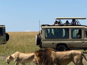 2-Day Masai Mara Safari with Game Drives