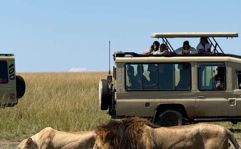 2-Day Masai Mara Safari with Game Drives