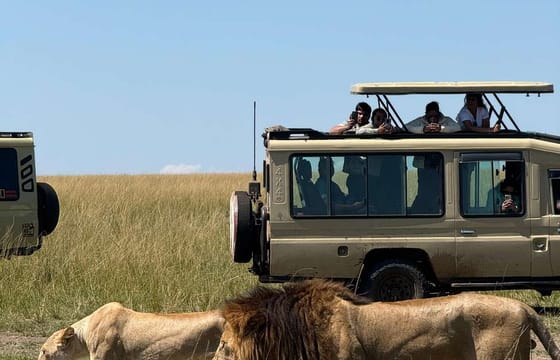 2-Day Masai Mara Safari with Game Drives