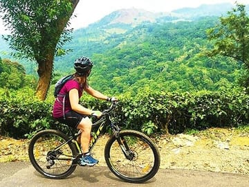 Mountain Biking Tour Through Kandy's Scenic Tea Trails