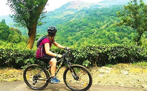 Mountain Biking Tour Through Kandy's Scenic Tea Trails