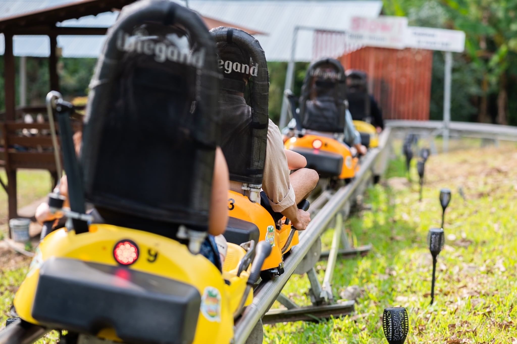 Pongyang Jungle Coaster & Zipline Adventure in Chiang Mai