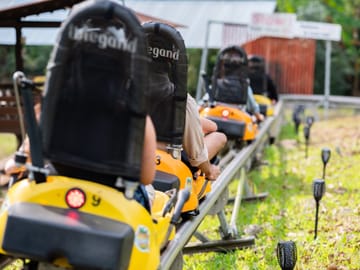Pongyang Jungle Coaster & Zipline Adventure in Chiang Mai
