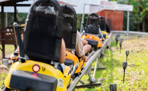 Pongyang Jungle Coaster & Zipline Adventure in Chiang Mai
