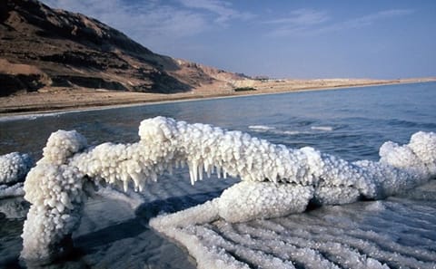 Half-Day Dead Sea Tour with Hotel Access from Amman