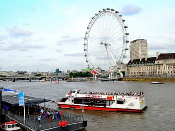 Private Layover Tour of London Landmarks from Heathrow
