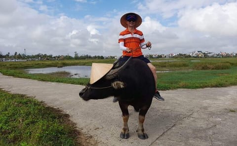 Bicycle Tour and Basket Boat Ride in Hoi An, Vietnam