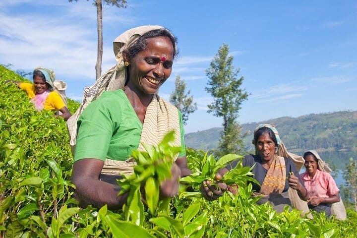 The Local Way – 7 Days Tour