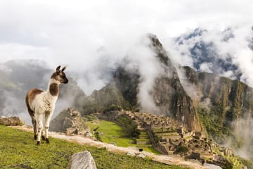 Enigmas of the South, Private Tour