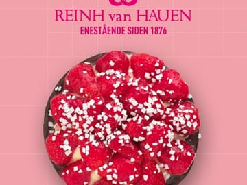 Modern Nordic Cuisine Private Guided Tour in Copenhagen