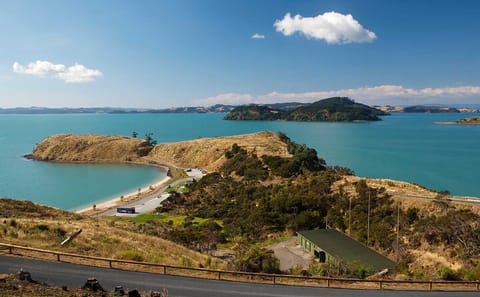 Kayaking and Culinary Tour in Clevedon, New Zealand