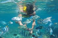 Bali: Blue Lagoon and Tanjung Jepung Snorkeling Tour 10