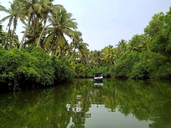 Things to do in Kanniyakumari