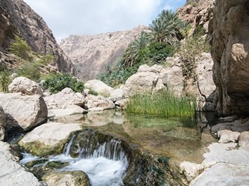 2-Day Adventure Tour in Ras Al Hadd, Oman