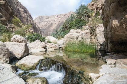 Tour Fatimah 2 Days-1 Night In Ras Al Hadd, Oman Tours Package