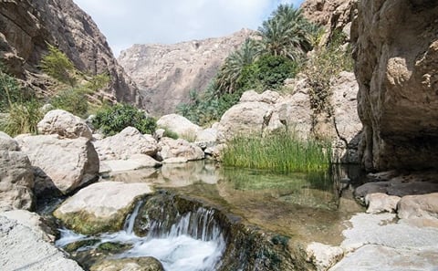 2-Day Adventure Tour in Ras Al Hadd, Oman