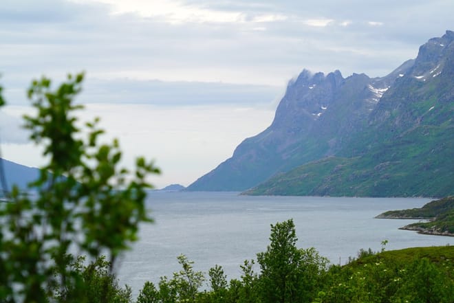 Fjord Sightseeing - TeslaX Electric car 9