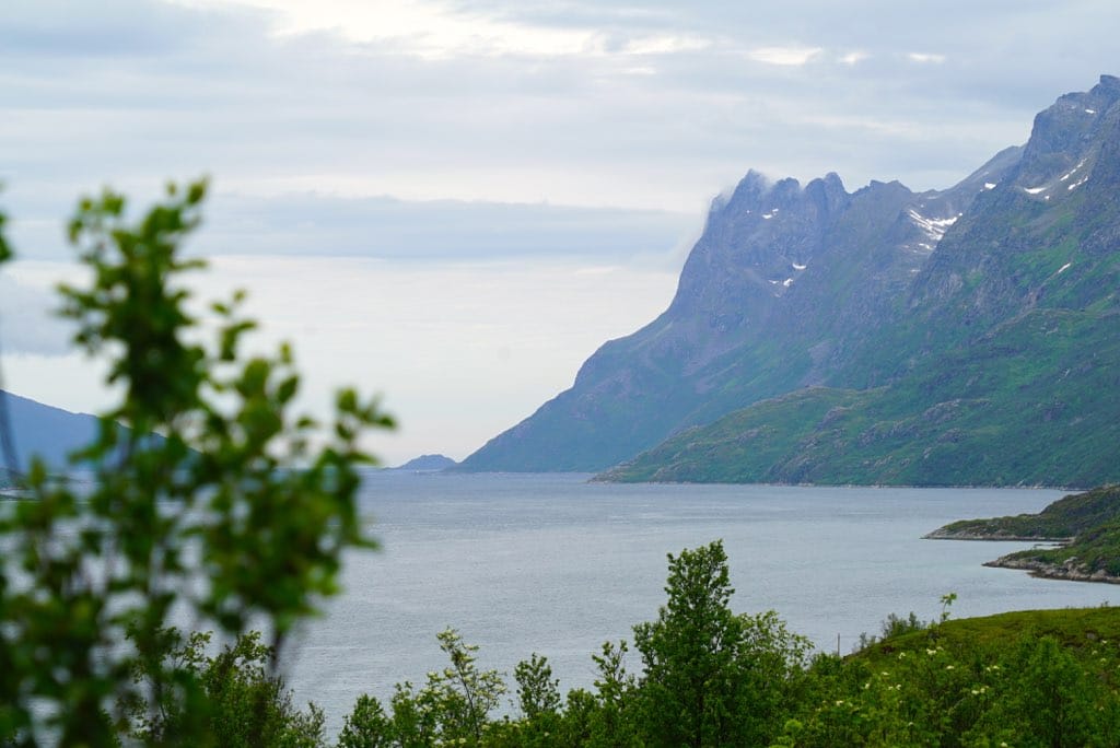 Fjord Sightseeing - TeslaX Electric car 9
