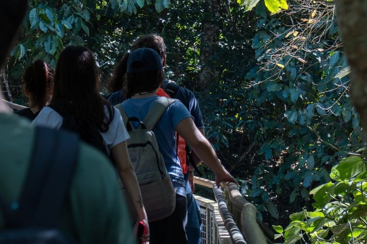 Iguazu Falls (Argentinian Side from Puerto Iguazu - Full Day) 10