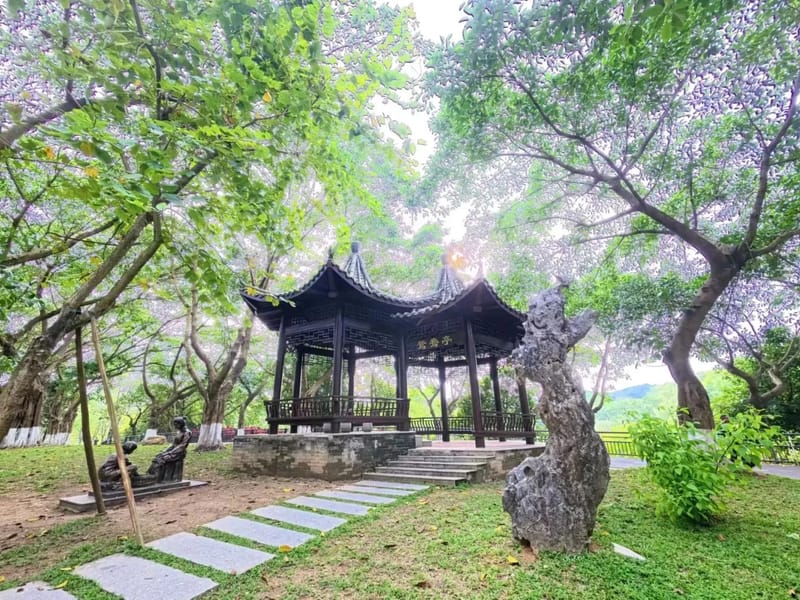 Guangzhou: Zhongshan Lake Viewpoint & Pigeon Feast Day Trip