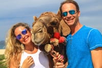 Cabo Camel Ride Experience 5