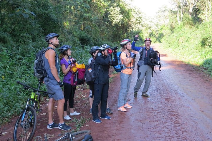 Jungle Wildlife Bike Tour to Iguazu National Park & Jaguar Road