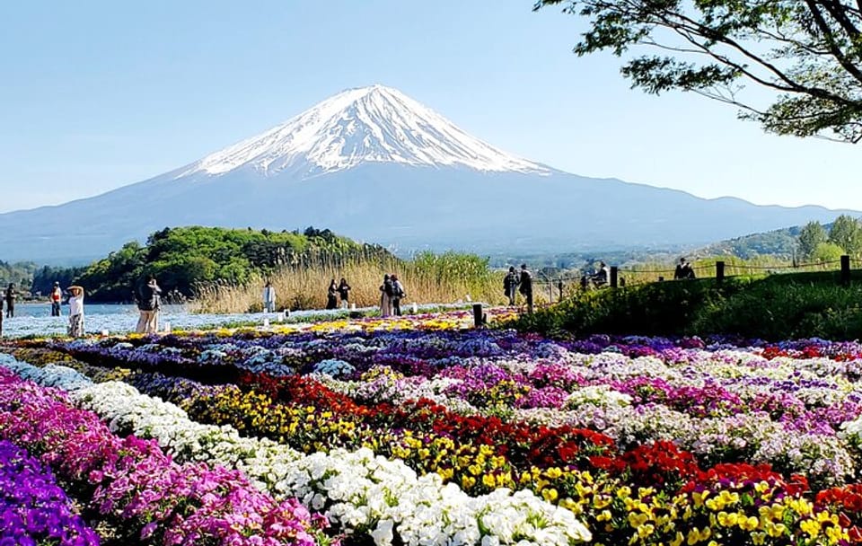 Mt. Fuji and Hakone Customizable English Guided Private Tour
