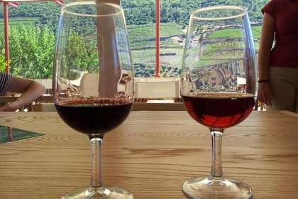 From Porto: Douro Valley Historical Tour with Lunch Winery w/ Tastings and Cruise