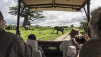 12 Days Kenya & Tanzania Combo Big Five Safari 4