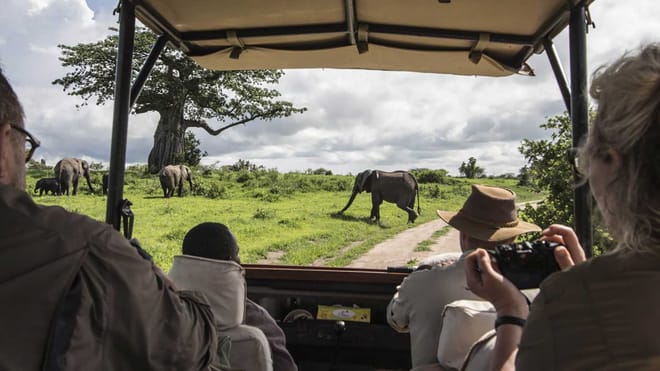 12 Days Kenya & Tanzania Combo Big Five Safari 4
