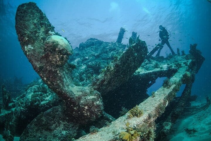 5 tours in 1 (Eco Farm/Horseback/City Tour/Buggy/Zipline)