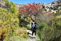 Hiking in the Canyon of the Monachil Cubs in Granada 6