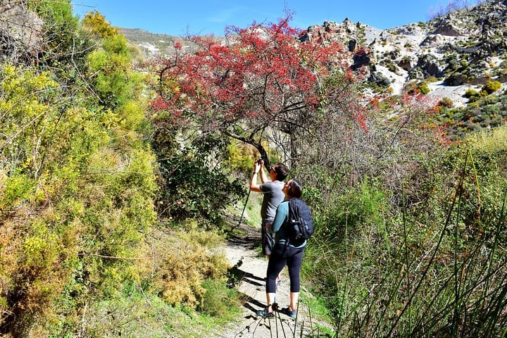 Hiking in the Canyon of the Monachil Cubs in Granada 6
